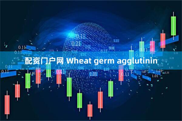 配资门户网 Wheat germ agglutinin